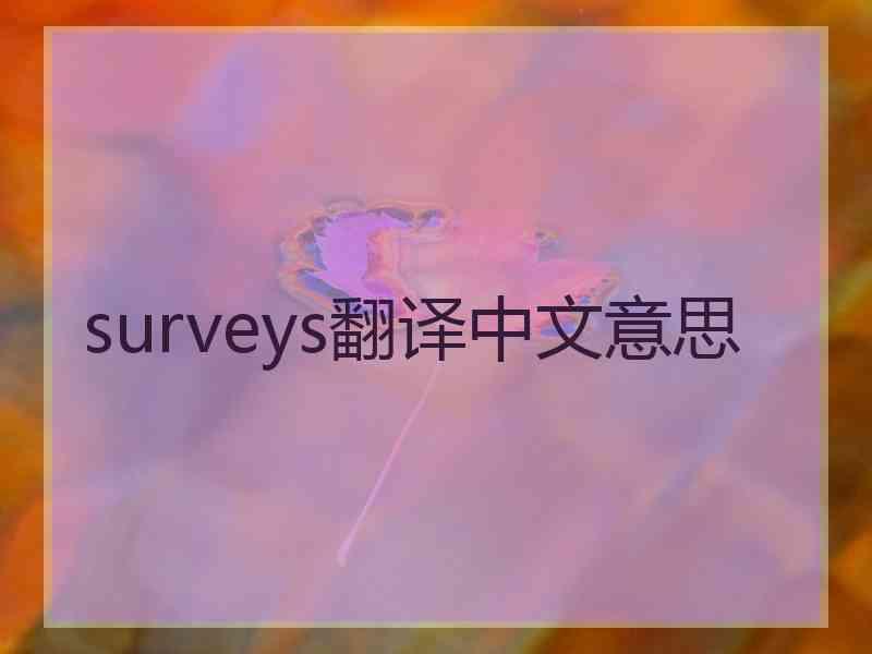 surveys翻译中文意思