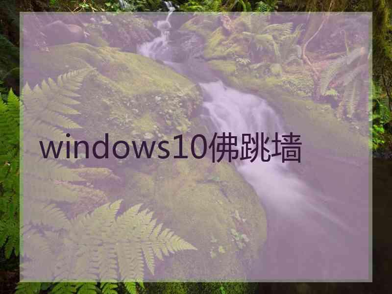 windows10佛跳墙