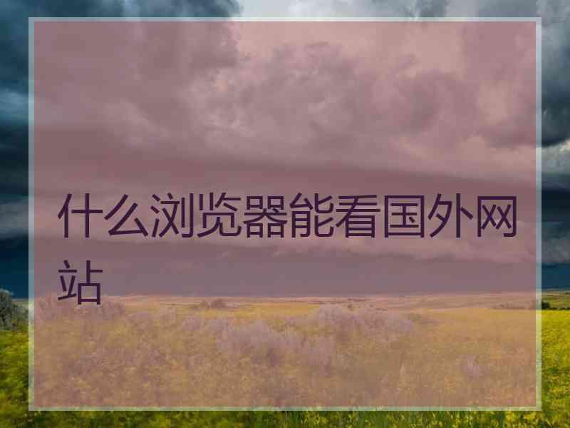 什么浏览器能看国外网站