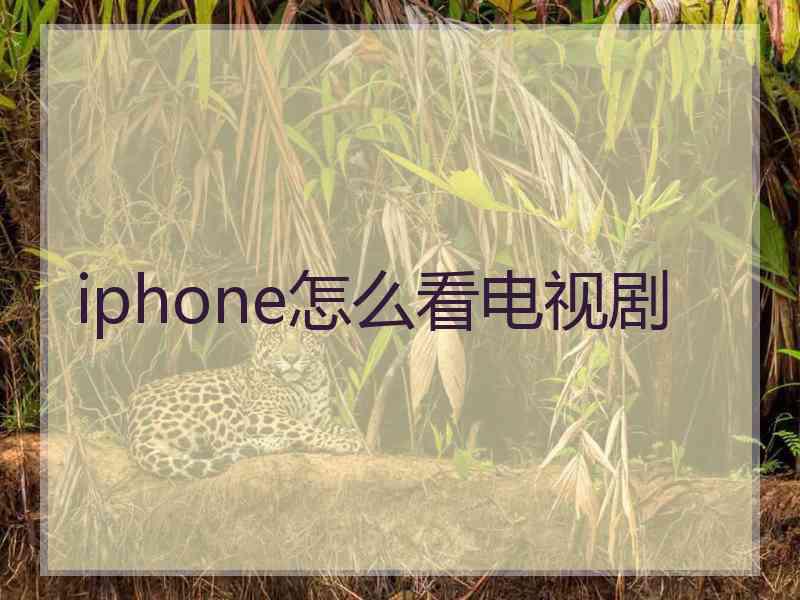 iphone怎么看电视剧
