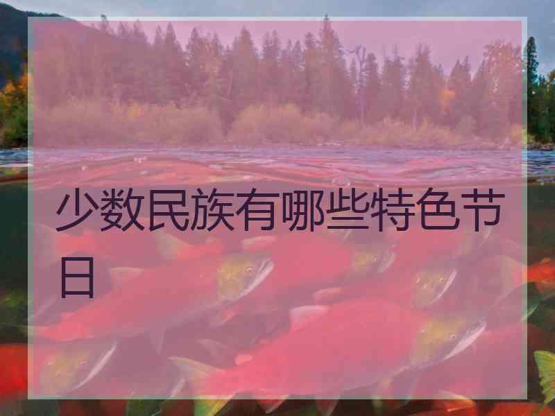 少数民族有哪些特色节日