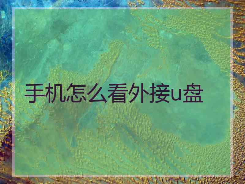 手机怎么看外接u盘