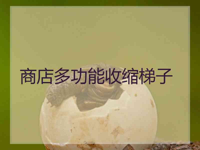 商店多功能收缩梯子