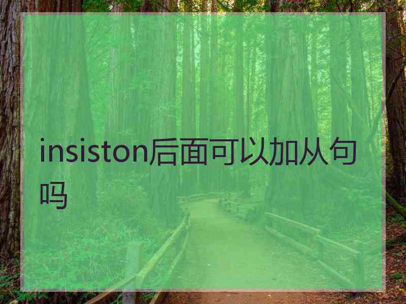 insiston后面可以加从句吗