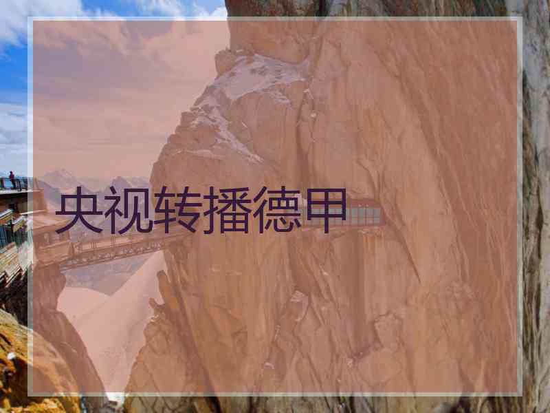央视转播德甲
