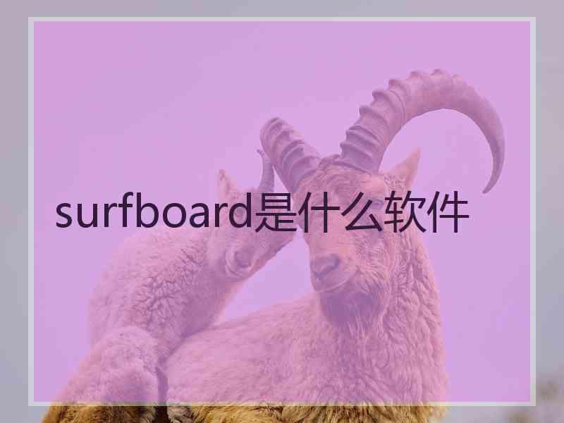 surfboard是什么软件