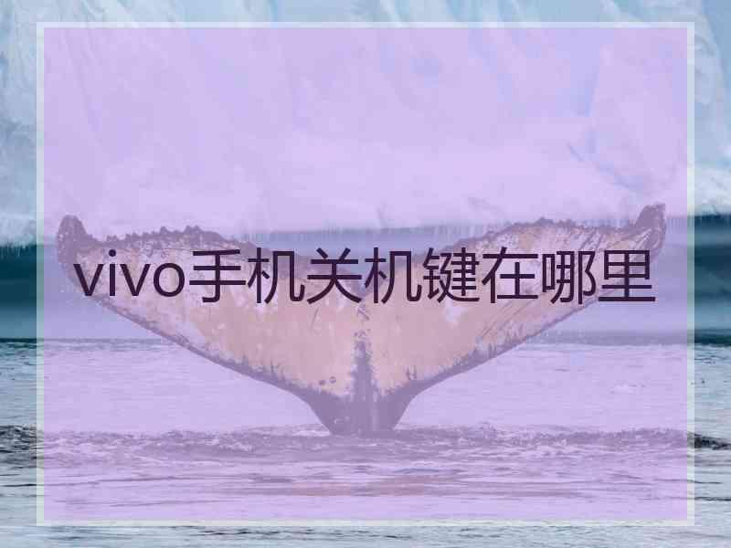vivo手机关机键在哪里