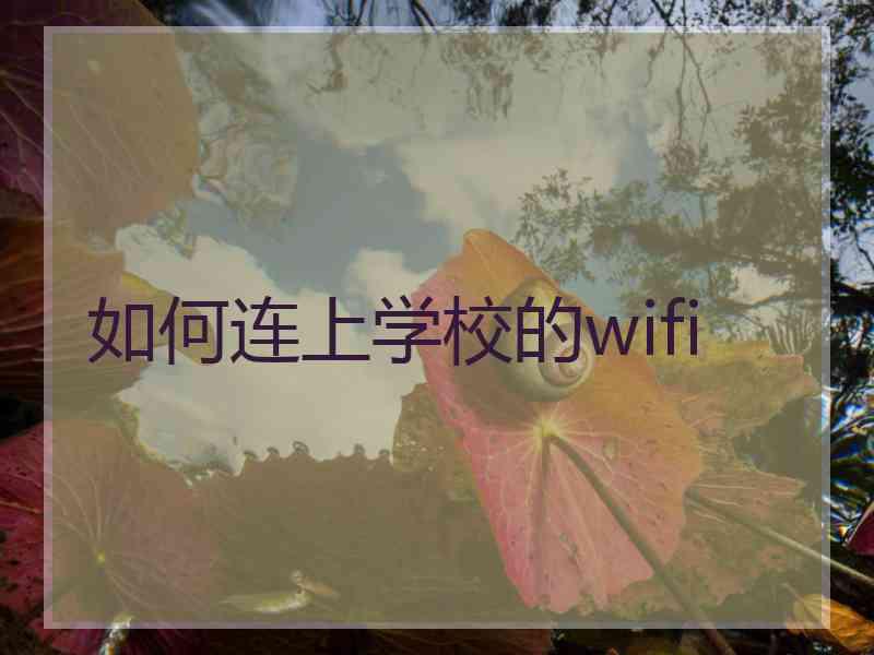 如何连上学校的wifi