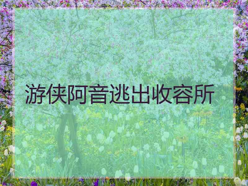 游侠阿音逃出收容所