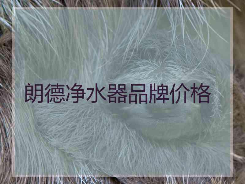 朗德净水器品牌价格