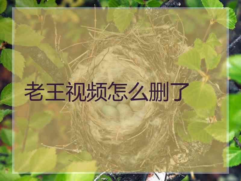 老王视频怎么删了