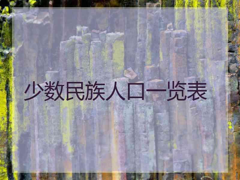少数民族人口一览表