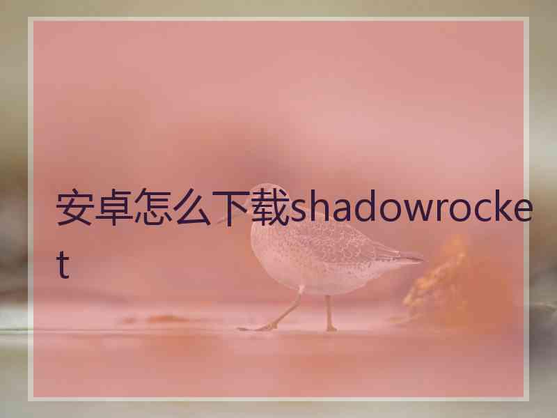 安卓怎么下载shadowrocket