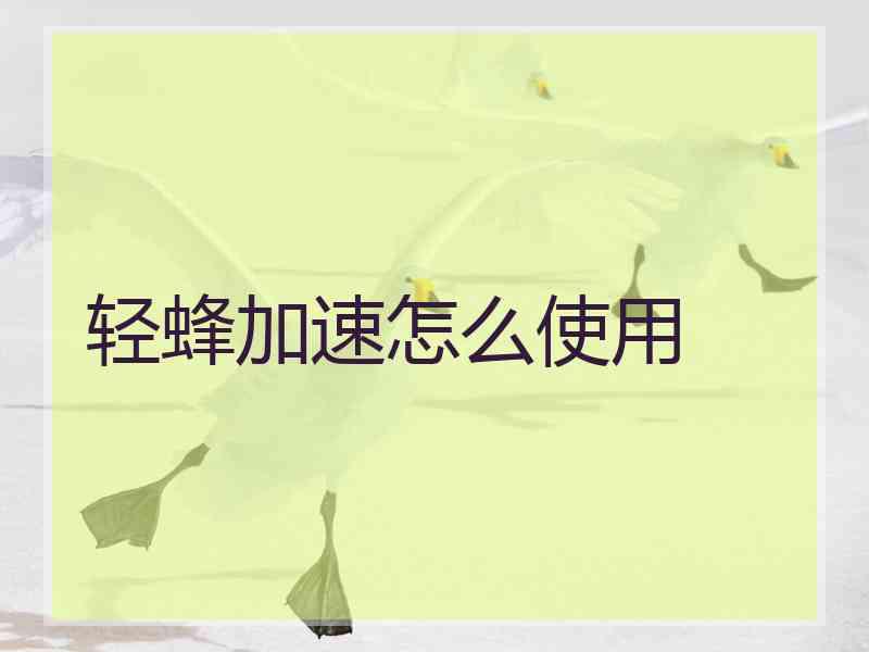 轻蜂加速怎么使用