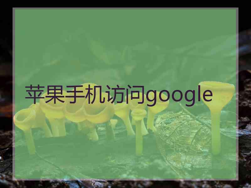 苹果手机访问google
