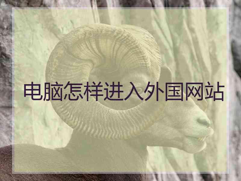 电脑怎样进入外国网站