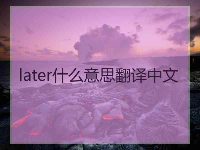 later什么意思翻译中文
