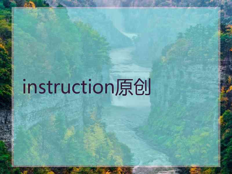 instruction原创