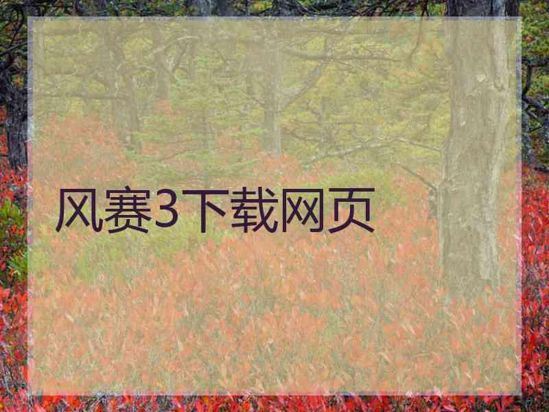 风赛3下载网页