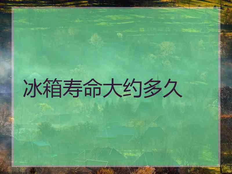 冰箱寿命大约多久