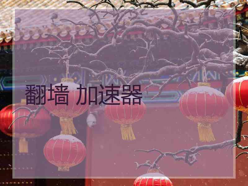 翻墙 加速器