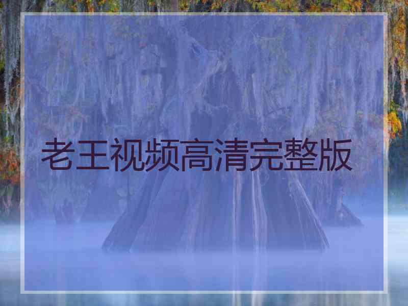 老王视频高清完整版