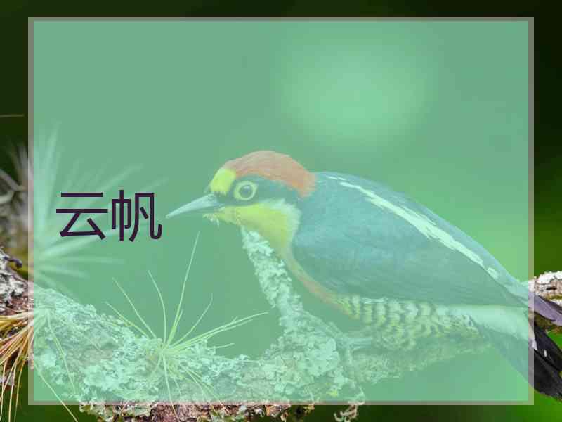 云帆