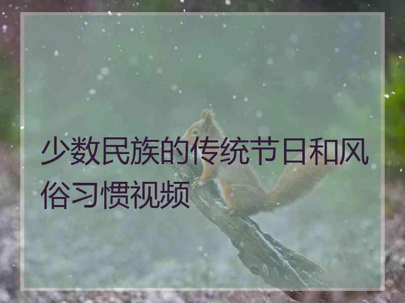 少数民族的传统节日和风俗习惯视频