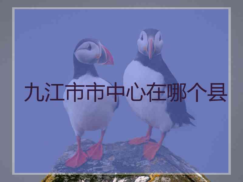 九江市市中心在哪个县