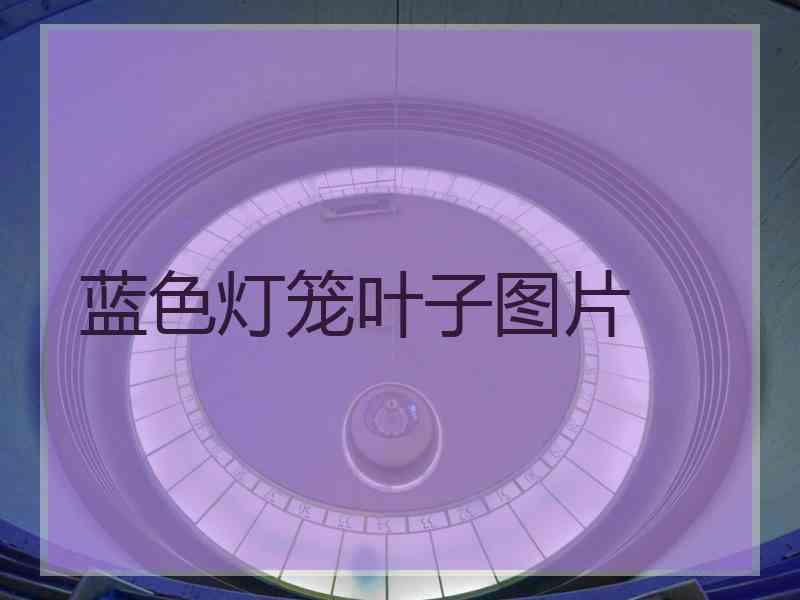 蓝色灯笼叶子图片