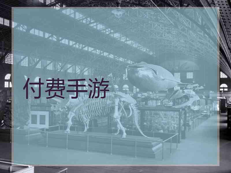 付费手游