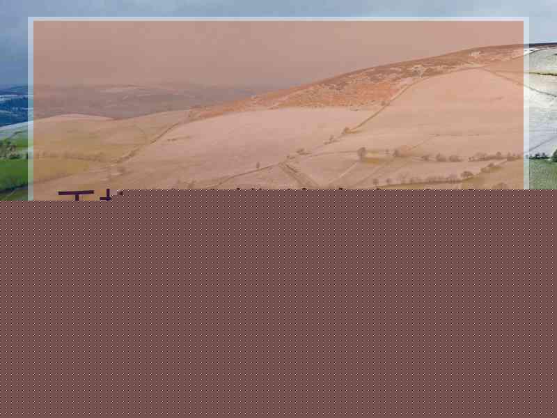 手机游戏推荐生存类多人联机