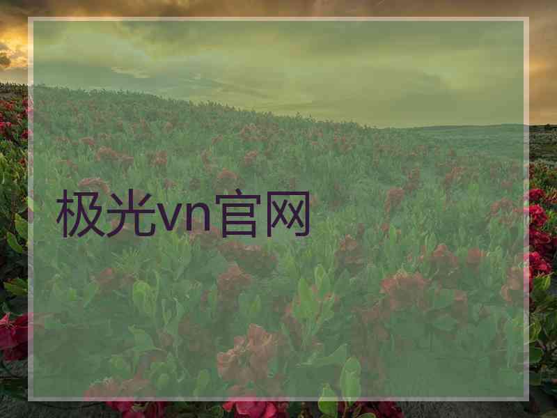 极光vn官网