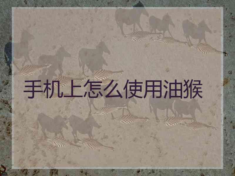 手机上怎么使用油猴