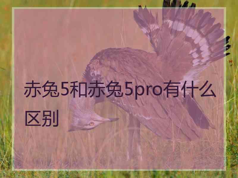 赤兔5和赤兔5pro有什么区别