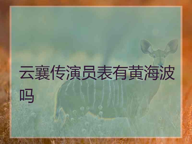 云襄传演员表有黄海波吗