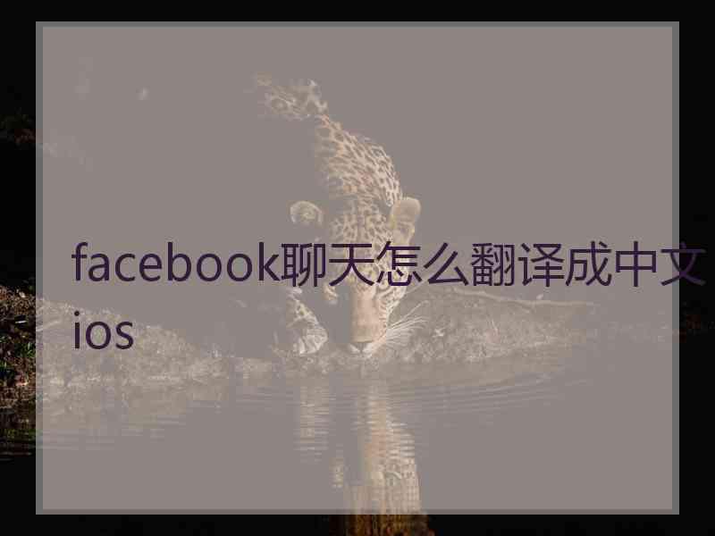 facebook聊天怎么翻译成中文ios