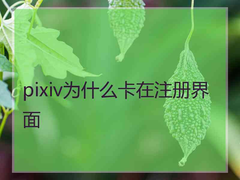 pixiv为什么卡在注册界面
