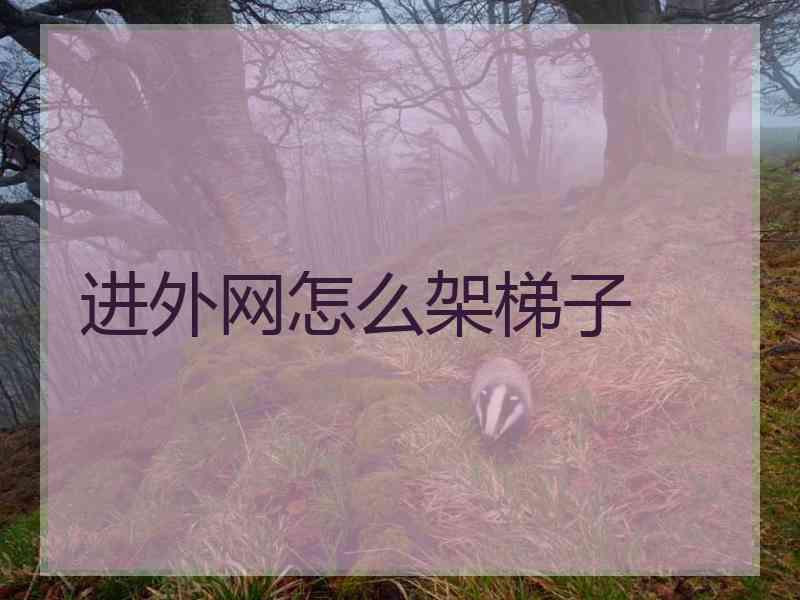 进外网怎么架梯子