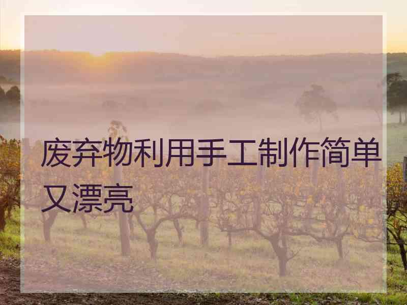 废弃物利用手工制作简单又漂亮