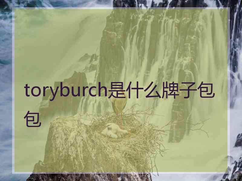 toryburch是什么牌子包包