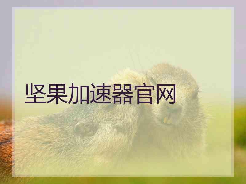 坚果加速器官网