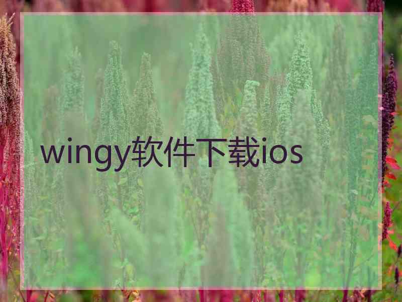 wingy软件下载ios