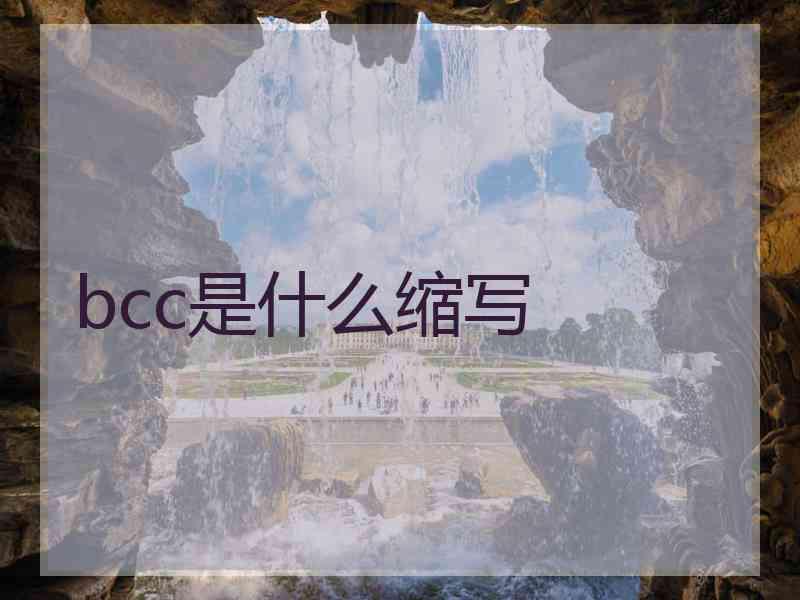 bcc是什么缩写