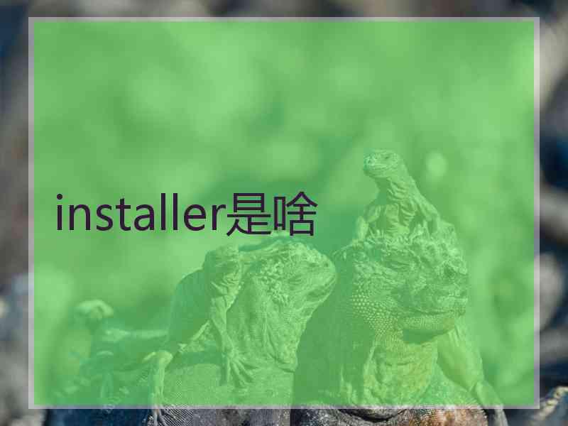 installer是啥