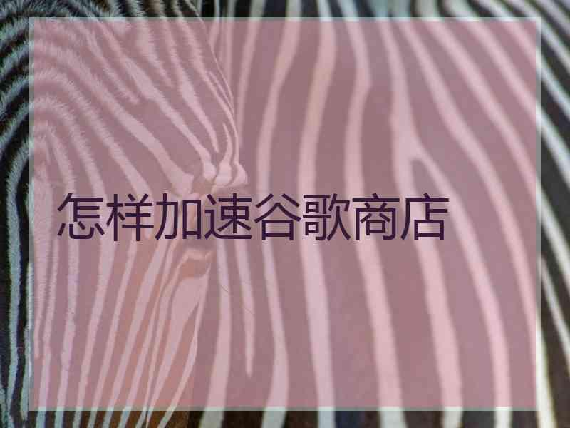 怎样加速谷歌商店