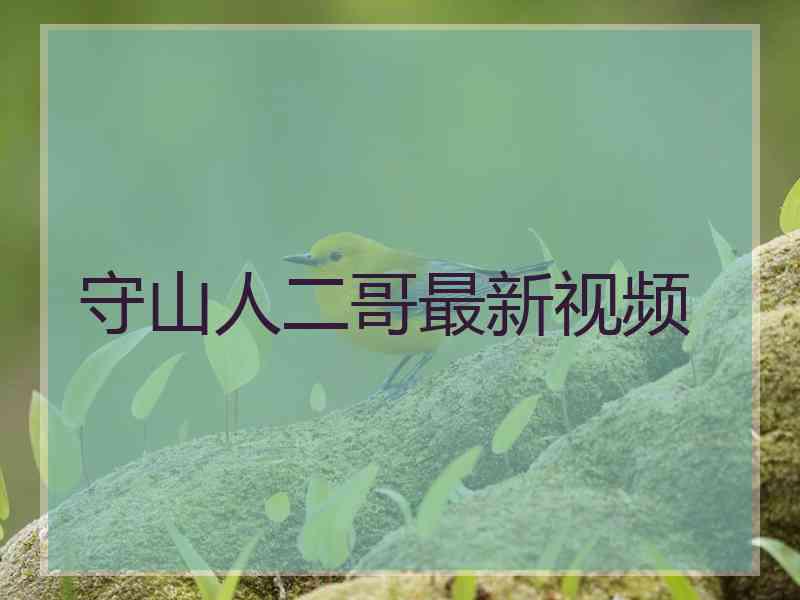 守山人二哥最新视频