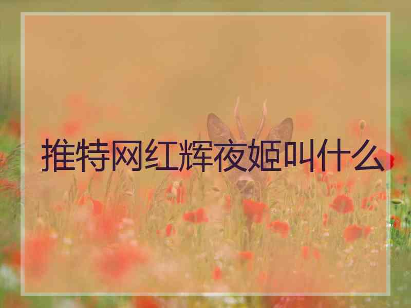 推特网红辉夜姬叫什么