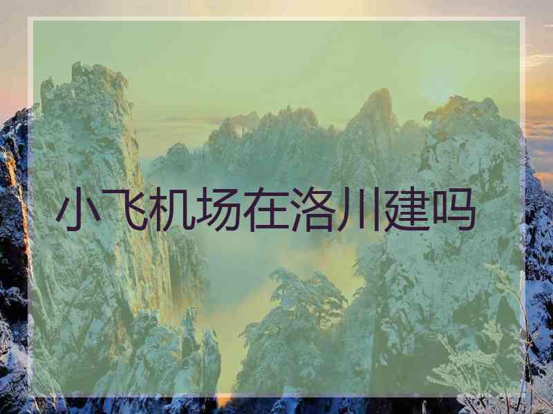 小飞机场在洛川建吗