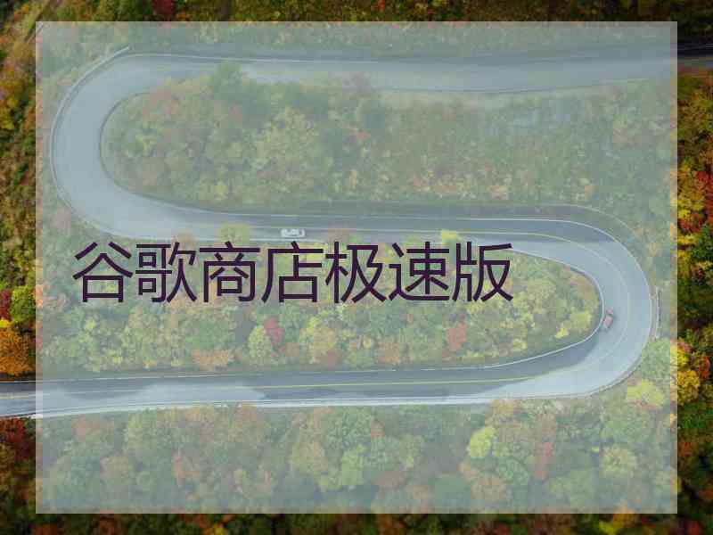 谷歌商店极速版